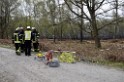 Waldbrand Wahner Heide Troisdorf Eisenweg P080